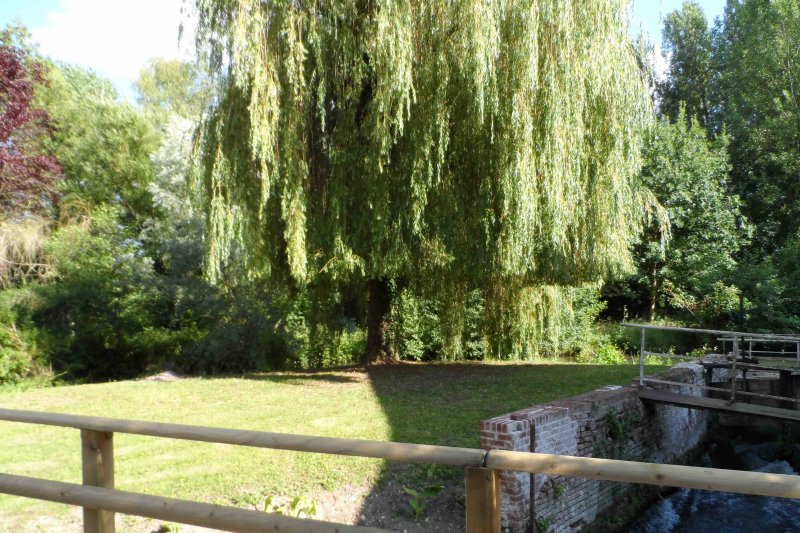Le Moulin de Plachy_80160 PLACHY-BUYON_4 Le Moulin de Plachy_80160 PLACHY-BUYON_4
